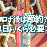 【コロナ後は節約？！】ディズニー大人1人1日にいくら必要？！パークでお金をかけず…