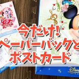 【ディズニーランドホテル】新エリアのかわいいペーパーバッグ&amp;ポストカードが貰えるのは今だけ！