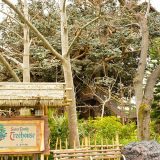 入園者数上限10000人！ディズニーランドインレポ②