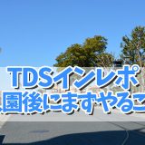 ディズニーランド 休止施設情報 月次 ディズニーリアル