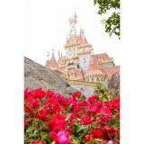 TDL × サダハルアオキ コラボレーションメニュー①イーストサイド・カフェ