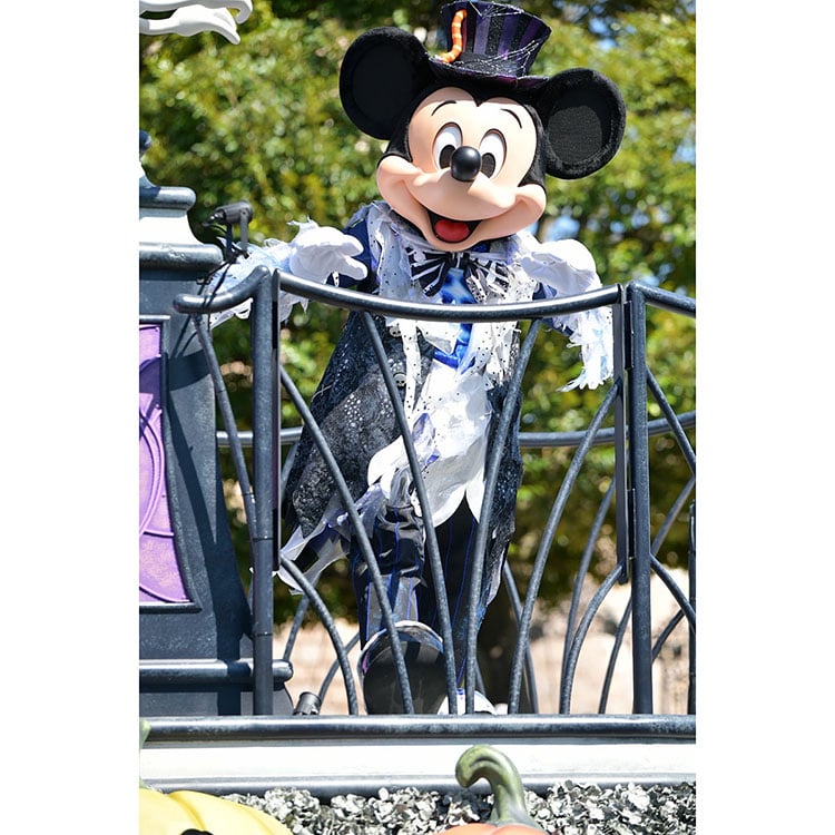 ディズニーハロウィン2022 インレポ Vol 3 ディズニーランド ディズニーリアル ディズニーハロウィン2022 インレポ Vol 3 ディズニーランド ディズニーリアル