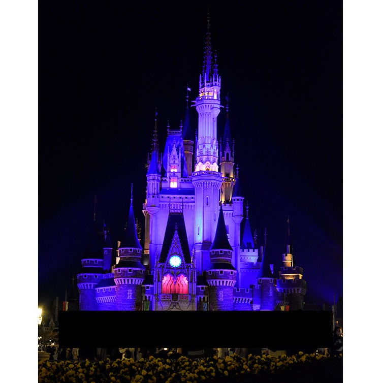 ディズニーランド貸切!三井不動産レジデンシャルのプライベート ディズニーランド貸切!三井不動産レジデンシャルのプライベート
