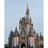【TDR40周年】おめでとうディズニー！！40周年初日インレポ☆vol.1　ハー…