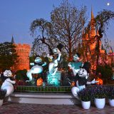 ディズニー・ハロウィーン！ディズニーランドのインレポ♪