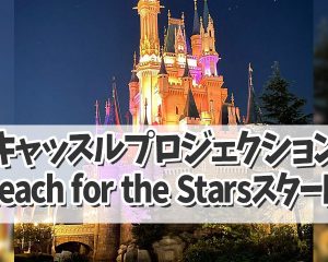 【ディズニーランド】新ナイトエンターテイ…