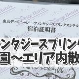 【ファンタジースプリングスインレポ☆】２日目はいよいよファンタジースプリングスへ…