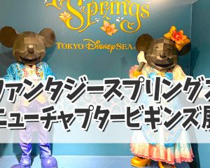 「ファンタジースプリングス　ニューチャプ…