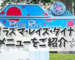 【TDL プラズマ・レイズ・ダイナー】宇…