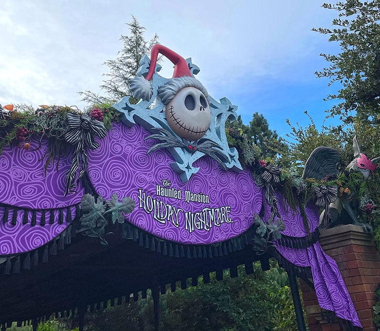ディズニーハロウィン2024】超激混みディズニーハロウィンレポ