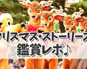 ＴＤＬ「ディズニー・クリスマス・ストーリ…